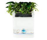 Camry - CR 7931 - AQUAPONIC KIT